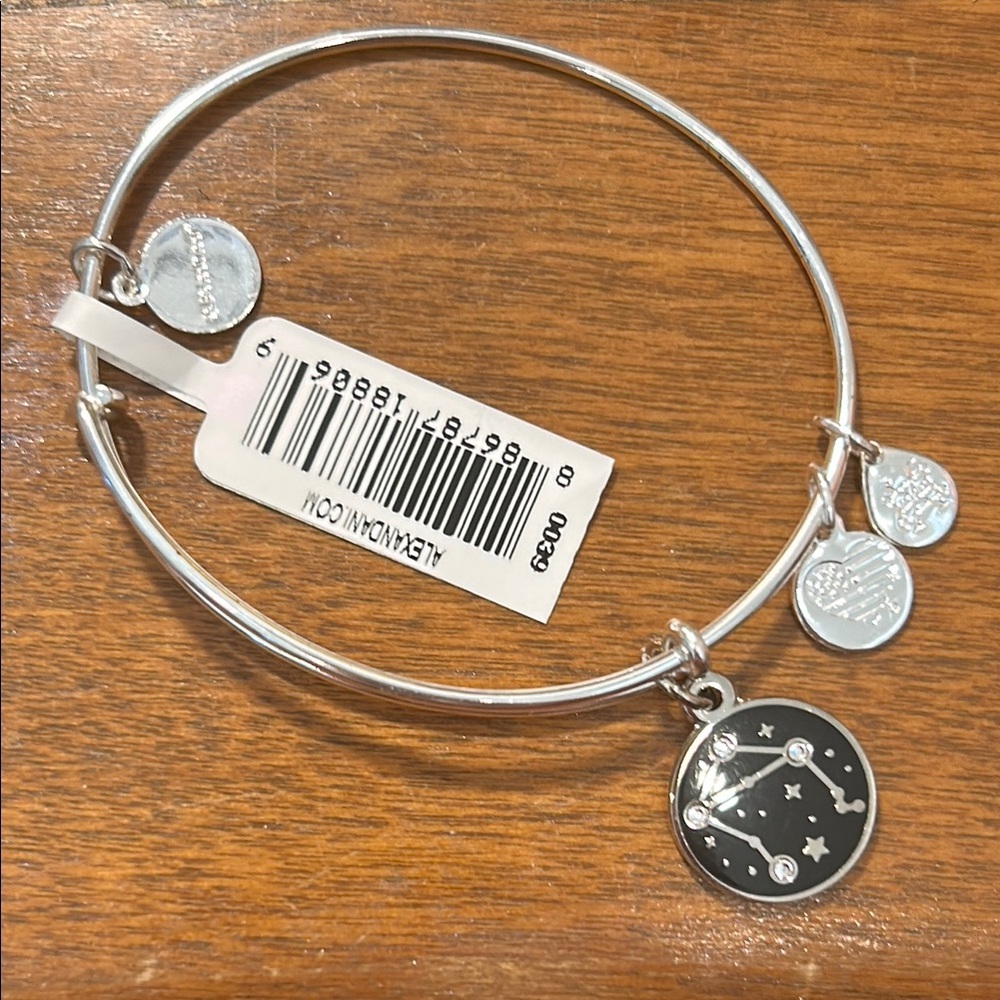 Alex and Ani Silver Constellation Charm Bracelet H23